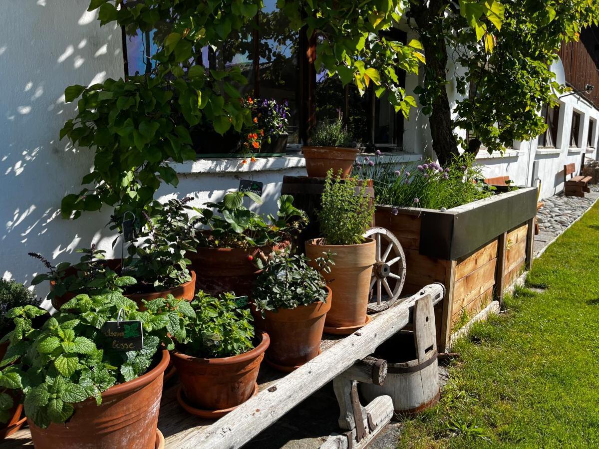 Gaestehaus Fitsch Obsteig Exteriör bild